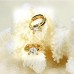 Fashion Crystal Decor 18K Gold Plate Earring