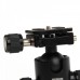 TriPod Ball Head with Quick Release Plate Adapter - Black