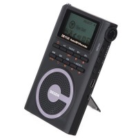 DEGEN DE1125 Stereo DSP AM/FM/SW Radio with 4GB MP3 Player Digital Recorder
