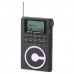 DEGEN DE1125 Stereo DSP AM/FM/SW Radio with 4GB MP3 Player Digital Recorder