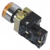 1 N/O XB2 Momentary Yellow Flush Pushbutton With 10A Pilot Light Lamp