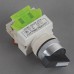 660V 10A 2 Positions Rotary Selector Push Button Switch