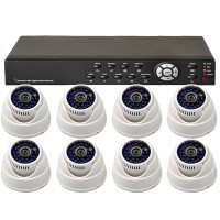 8 Audio Video CCTV Color Camera 48IR 600TVL + 8CH Network DVR System 1000GB HDD