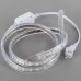 1M SMD 5050 60 LED Flexible LED Strip Lamp 220VAC Waterproof with Plug- White