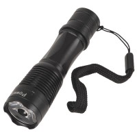 Powerlight B51 Torch 150-Lumen White LED Flashlight (1*AA) -- Black