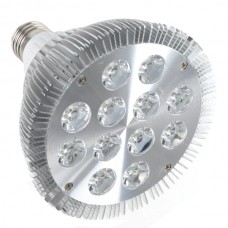 Dimmable 12W LED Light Hotel Lamp E27