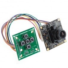 1/3" SONY 420TVL, LSI  HAD Super Dynamic Double SpeedProfessional Color CCD PAL Board with Button