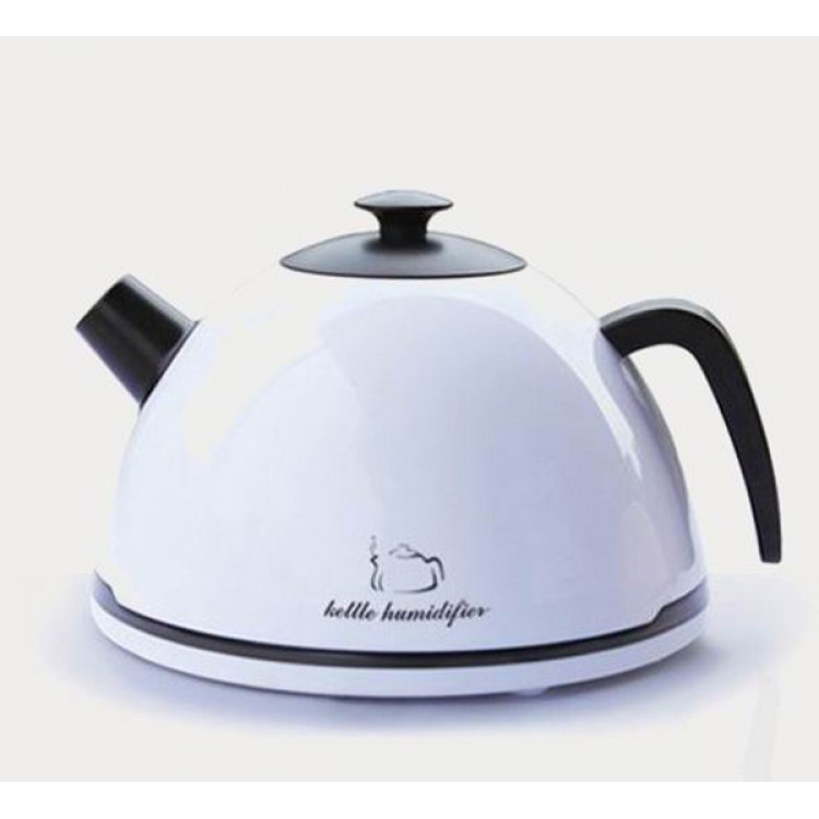Creative Anion Humidifier Kettle Style Anion Purifier Ionizer Air