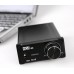 MUSE M21 EX TA2021 T-Amp Mini Stereo Amplifier 25WX2 Quality Amplifier Black/Silver/Golden