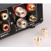 MUSE M21 EX TA2021 T-Amp Mini Stereo Amplifier 25WX2 Quality Amplifier Black/Silver/Golden