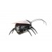 Mini-Robot Coleoptera 8cm Remote Control Beetle Insect Toy