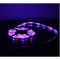 5M 60Led/m 3528 300leds Waterproof SMD RGB LED Strips Bar Lights Flexible LED Strip