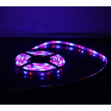 5M 60Led/m 3528 300leds Waterproof SMD RGB LED Strips Bar Lights Flexible LED Strip