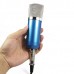 BM-700 Precision Zinc Alloy Mesh Head Studio Condenser Microphone Mic Online KTV