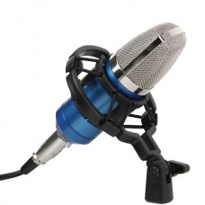 BM-700 Precision Zinc Alloy Mesh Head Studio Condenser Microphone Mic Online KTV