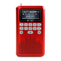 LV290 Portable 1.8" LCD Digital Speaker w/ 4G Card FM Radio / TF Slot / Mini USB Amplifier