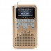 LV290 Portable 1.8" LCD Digital Speaker w/ 4G Card FM Radio / TF Slot / Mini USB Amplifier