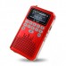 LV290 Portable 1.8" LCD Digital Speaker w/ 4G Card FM Radio / TF Slot / Mini USB Amplifier