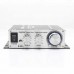 Lepy LP-2020A+ Digital Mini Hi-Fi Audio Stereo Home Car Amplifier Tripath TA2020 W/ 13.5V 3A Power Adapter Black