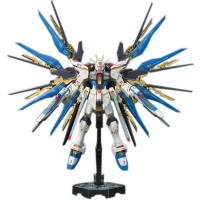 RG 14 ZGMF-X20A Strike Freedom Normal Version High Fidelity Certified Product