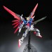 RG 11 1/144 Destiny Gundam High Fidelity Certified Product w/ Light Wing