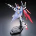 RG 11 1/144 Destiny Gundam Normal Version High Fidelitty Certified Product