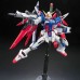 RG 11 1/144 Destiny Gundam Normal Version High Fidelitty Certified Product