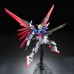 RG 11 1/144 Destiny Gundam Normal Version High Fidelitty Certified Product