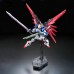 RG 11 1/144 Destiny Gundam Normal Version High Fidelitty Certified Product