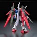 RG 11 1/144 Destiny Gundam Normal Version High Fidelitty Certified Product