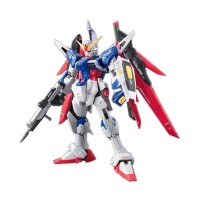 RG 11 1/144 Destiny Gundam Normal Version High Fidelitty Certified Product