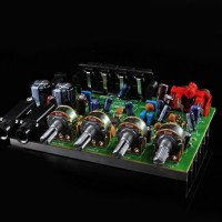 Phillip TDA8946 12V Amplifier Board Dual Channel Microphone Finished Good Karaoke Fever Level