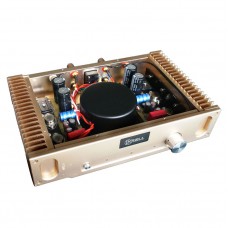 Super Popular Hood 1969 A Class Amplifier Assembled Board Perfect Version HD1969 Golden/ Silvery