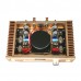 Super Popular Hood 1969 A Class Amplifier Assembled Board Perfect Version HD1969 Golden/ Silvery