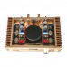 Super Popular Hood 1969 A Class Amplifier Assembled Board Perfect Version HD1969 Golden/ Silvery