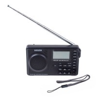 DEGEN DE1129 FM Stereo AM.SW DSP ATS With 4GB MP3 Player Digital Recorder Radio