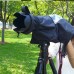 Professional Camera Raincoat Raincover Waterproof Dustproof for DSLR Cannon 5D3 D800
