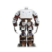 Metal Version Biped Humanoid Robot C Type Mini RC Robot for Research Platform