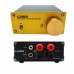100W Digital Power Amplifier Power Amplifier with High Power Family Use Stereo Power Amplifier