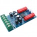 TA2024 T Class Digital Amplifier 15W+15W Audiophlier+ELNA RBP2 Mini PC Desktop Amp Plate