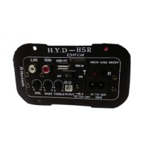 HYD.H5R Car Use Home Use Subwoofer Amplifier Board Large Power Plug in Card USB Remote Control 12V24V110V-265V Universal