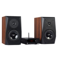 Trasam P5 Bluetooth and USB Player Sound Set HIFI Tube Amplifier Bookshelf Speakers Living Room Amp Speakers Sound Set Source 2 with M6D