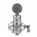 ISK BM-5000 Professional Condenser Microphone for Computer Recording Studio Performance Mic Shock Mount