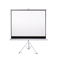 100inch 16:9 HD Standing Projector Screen Portable White Curtain Stand-Able Screen