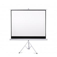 100inch 16:9 HD Standing Projector Screen Portable White Glass Fiber Stand-Able Screen