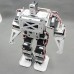 17 DOF Biped Robot Humanoid Anthropomorphic Combat Battle Robot Frame Height 38cm w/Servo