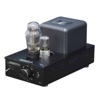 DarkVoice 336SE Headphone Amplifier Preamp Electronic Tube 1W Output Audio Amp