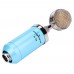 R18 Professional Dual Channel Condenser Microphone Audio Mic for Song Computer Karaoke