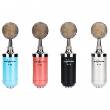 R18 Professional Dual Channel Condenser Microphone Audio Mic for Song Computer Karaoke