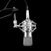 Professional BM-800 Condenser Microphone Cardioid Pro Audio Studio Vocal Recording Mic KTV Karaoke